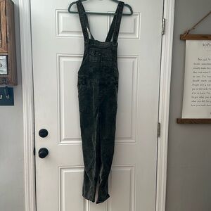 Free people overalls